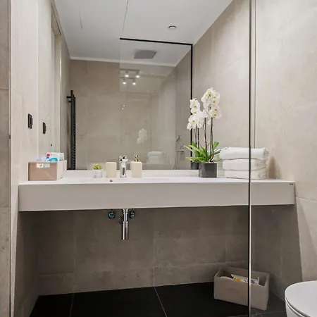 One Luxury - Herastrau Vista 公寓